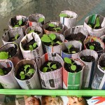 main_newspaper_networx