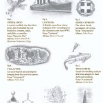 AndrewBirdInfograpicv2