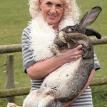 article-2126477-12804526000005DC-209_634x955