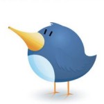 twitter-bird