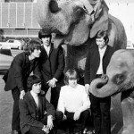 4741811738_663e22437e_b