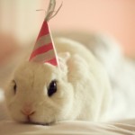 enhanced-buzz-12549-1337014433-0