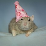 enhanced-buzz-15787-1337006763-1-1