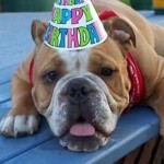 enhanced-buzz-16518-1337006797-8-1