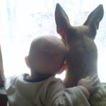 enhanced-buzz-22628-1337011554-1