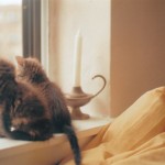 enhanced-buzz-22638-1337011545-0