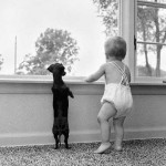 enhanced-buzz-22712-1337011551-5