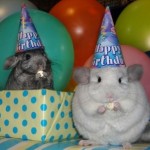 enhanced-buzz-25070-1337013591-9