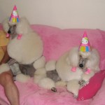 enhanced-buzz-25107-1337013386-6