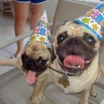 enhanced-buzz-29980-1337006688-10