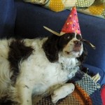 enhanced-buzz-30028-1337013323-5