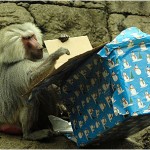 enhanced-buzz-32679-1337015784-2