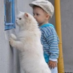 enhanced-buzz-5341-1337011549-18