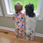 enhanced-buzz-5402-1337011552-9