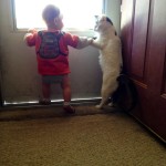 enhanced-buzz-6275-1337011554-4