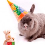 enhanced-buzz-6590-1337013351-3