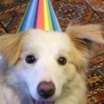 enhanced-buzz-8826-1337013229-2