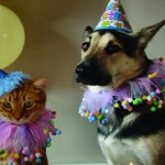 enhanced-buzz-9690-1337006661-15