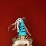 enhanced-buzz-9690-1337006969-18