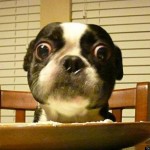 slide_22002_1024103_free