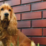 Fabiano-Lourdes_2274500b