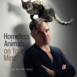 morrissey_cat_petasdfsdfs