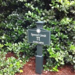 This happened to be on a circular road