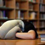 1004_OstrachPillow_inline405