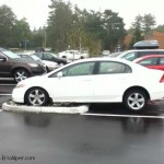 Common sense disappeared today