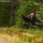 Hi! Just came to say I’m going to bed. See you in Spring