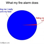What my fire alarm does