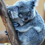 Mom, you can let go of me now