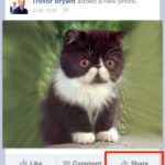 photo-share-me-cropped-done