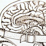 3004746-poster-1280-think-different-brain-scan-apple