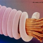 Everything looks cooler when magnified. This is a guitar string