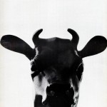 tumblr_mgiv2oxMTc1qbaq5co1_1280