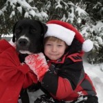 10070561_H9835937-250×250