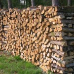 62617544_1-Pictures-of-Dry-firewood-for-the-winter