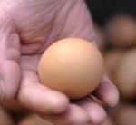 83493527.jpg.CROP.article250-medium