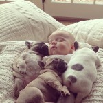 baby-covered-in-french-bulldog-puppies