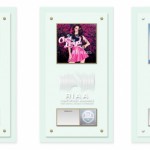 3_inaugural_riaa_combined_digital_single_award_plaques_-_emeli_sande_cher_lloyd_jason_derulo_0