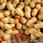 _67256906_nutssciphotolib