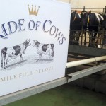 OB-XQ331_icows_G_20130529030805