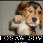 who-is-awesome