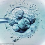 article-0-16AB4A13000005DC-797_634x425