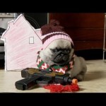 home-alone-pug-puppy-version-150×150