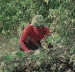 tumblr_mwkgioZb4N1qc8y8no1_250