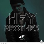 Avicii_Hey_Brother