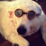 10320608_653391101399318_3046986333070377807_n