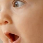 027d8ed7cd1f58008a66764104b3dda0_f2587